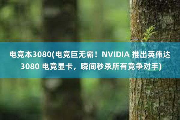 电竞本3080(电竞巨无霸！NVIDIA 推出英伟达 3080 电竞显卡，瞬间秒杀所有竞争对手)