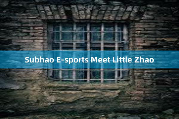 Subhao E-sports Meet Little Zhao