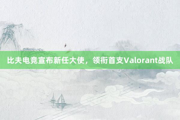 比夫电竞宣布新任大使，领衔首支Valorant战队